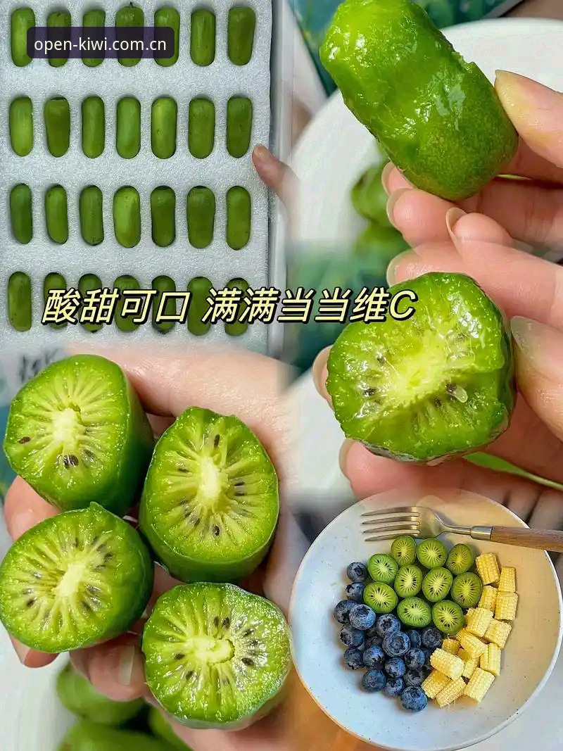 奇异果体育平台中国官网手机版深度评测：从下载到爆红数据，我的30天真实体验